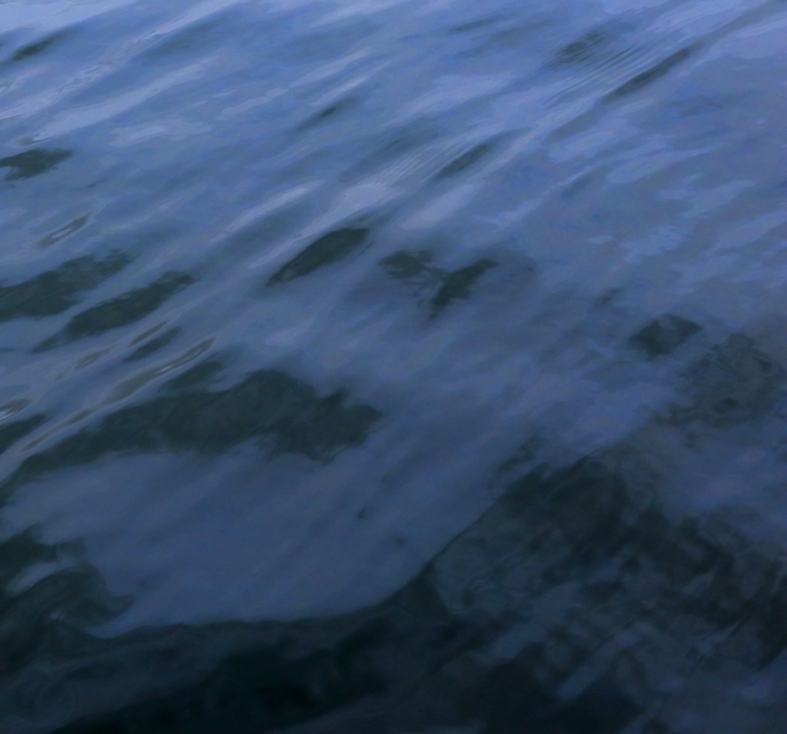 lady in the lake